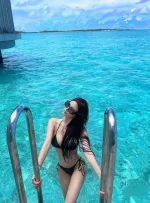 台中定點茶-飛燕