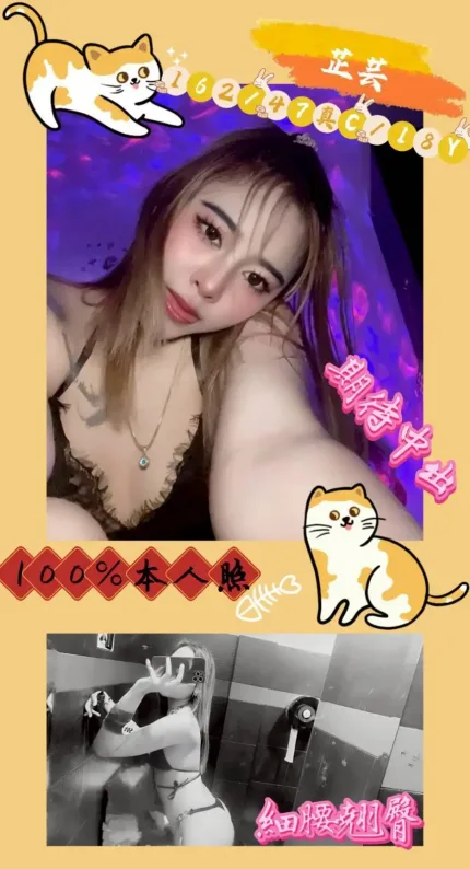 嘉義定點茶-芷芸