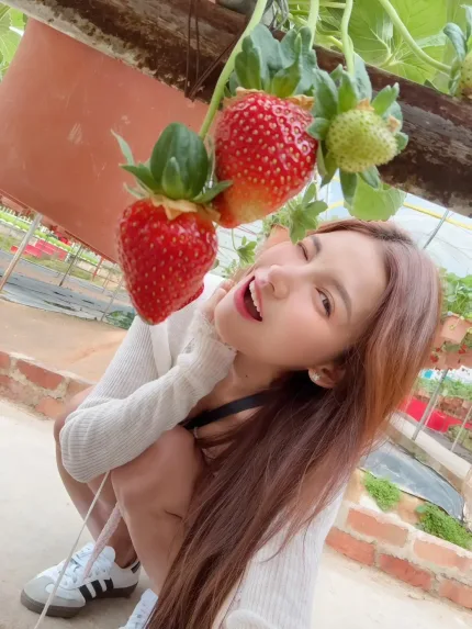 台北定點茶-悠娜娜