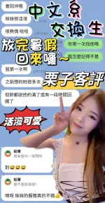 南投定點茶-栗子