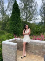 台北定點茶-小米蘭