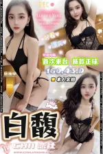 台中定點茶-白馥