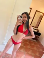 新北定點茶-黑紐