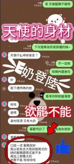 台中定點茶-天使