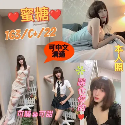 台北定點茶-蜜糖