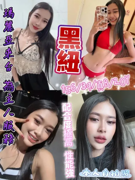 新北定點茶-黑紐