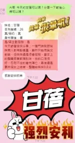 南投定點茶-甘蓓