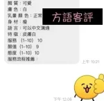 桃園定點茶-方語