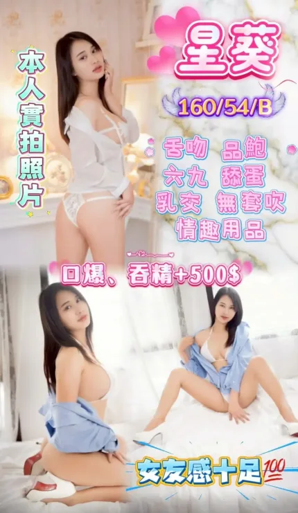 苗栗定點茶-星葵