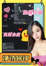 南投定點茶-淨詩