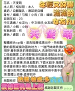 高雄定點茶-天使萌