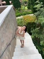 台北定點茶-小米蘭