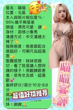 台中定點茶-喵喵