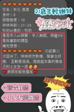 南投定點茶-嘉嘉