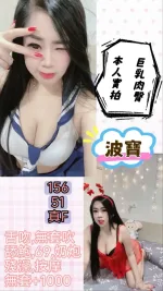 台北定點茶-波寶